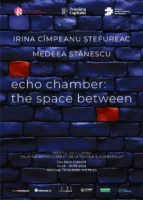 Expoziție la Mogoșoaia | echo chamber: the space between