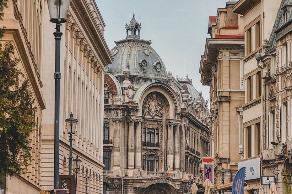 people walking on the street