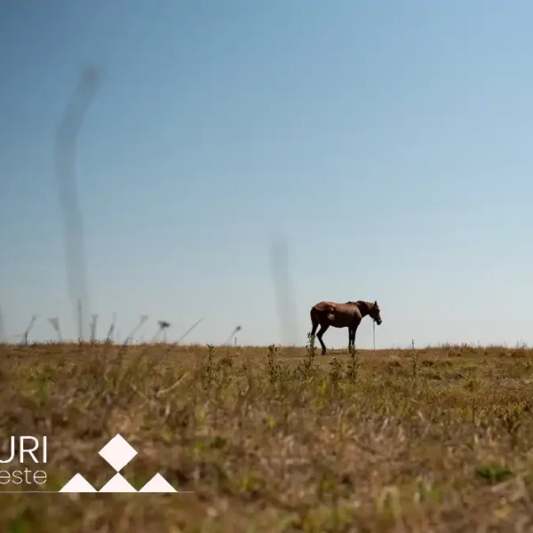 Rugăciuni pentru ploaie în „Viața la țară” – și astăzi