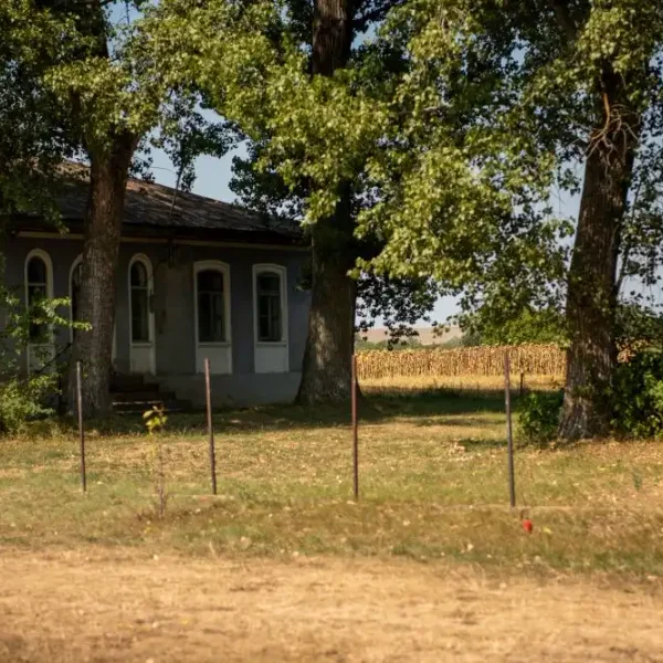 Imagini. Medeleni – cu sau fără Ionel Teodoreanu