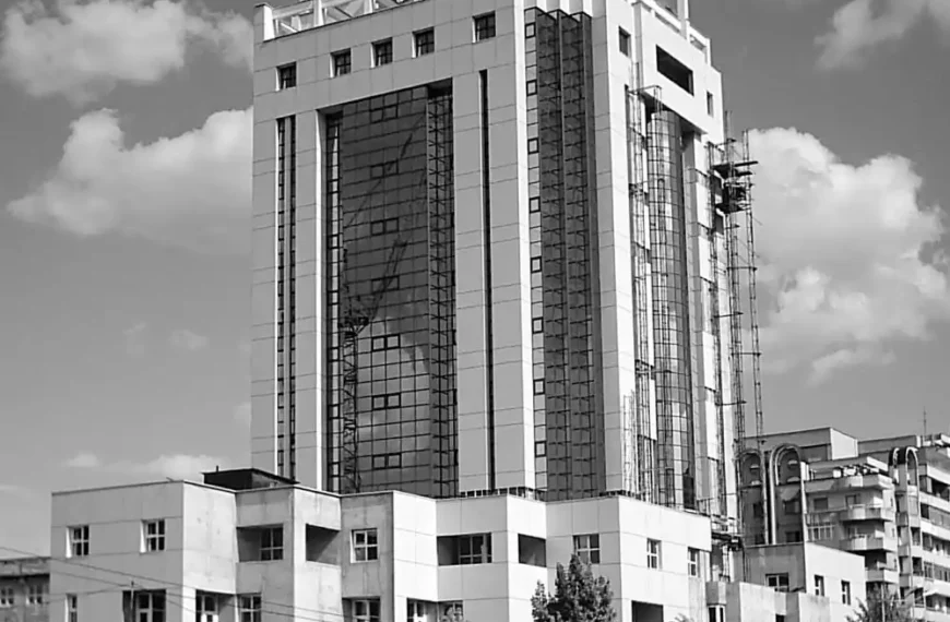Urmările prostului-gust al capitalismului sălbatic
