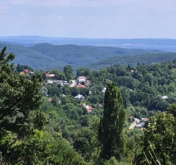Buștenari – înainte și după Geo Bogza. Imagini vechi și noi
