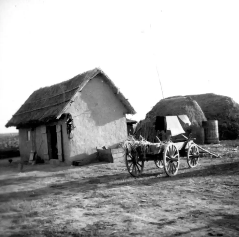 Ciulnița - înainte și după „Tănase Scatiu”