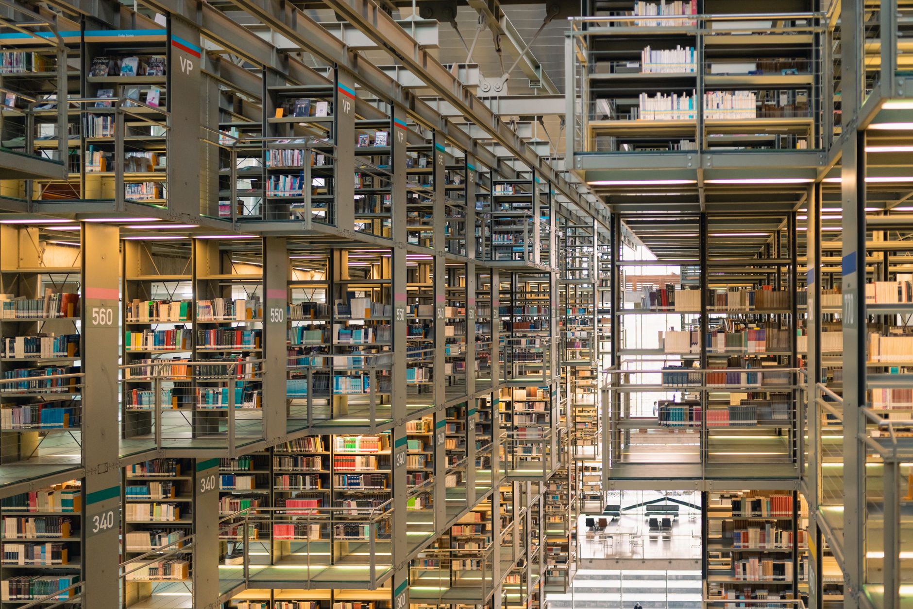 modern library bookshelves in ciudad de mexico